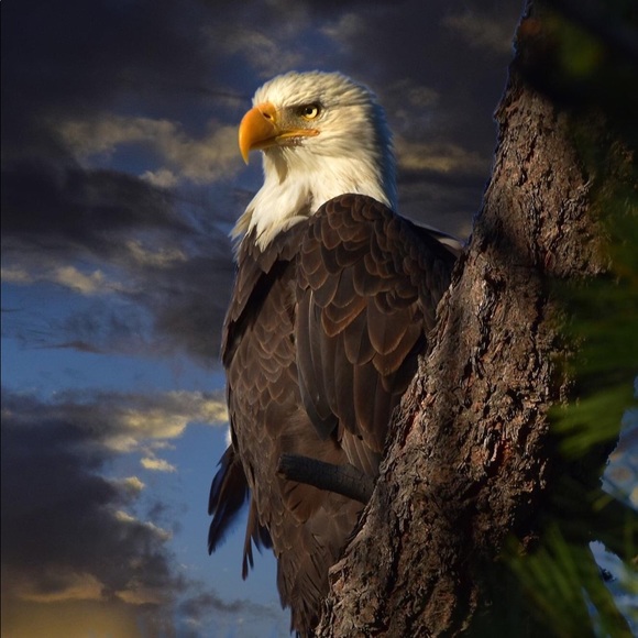 Meet your Posher, Anne - Picture 1 of 1